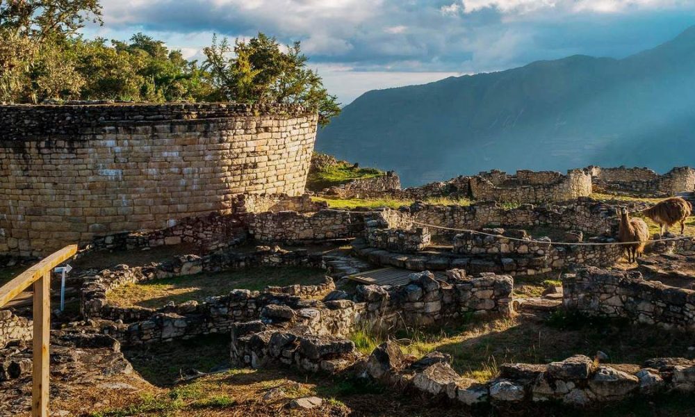 Archivo: Infobae Perú