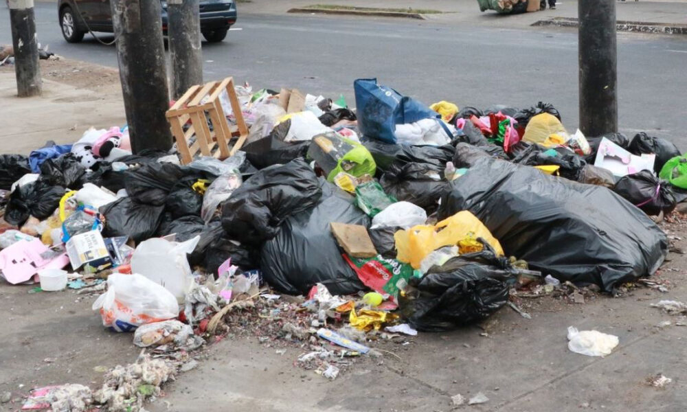 HERALDO AMBIENTE