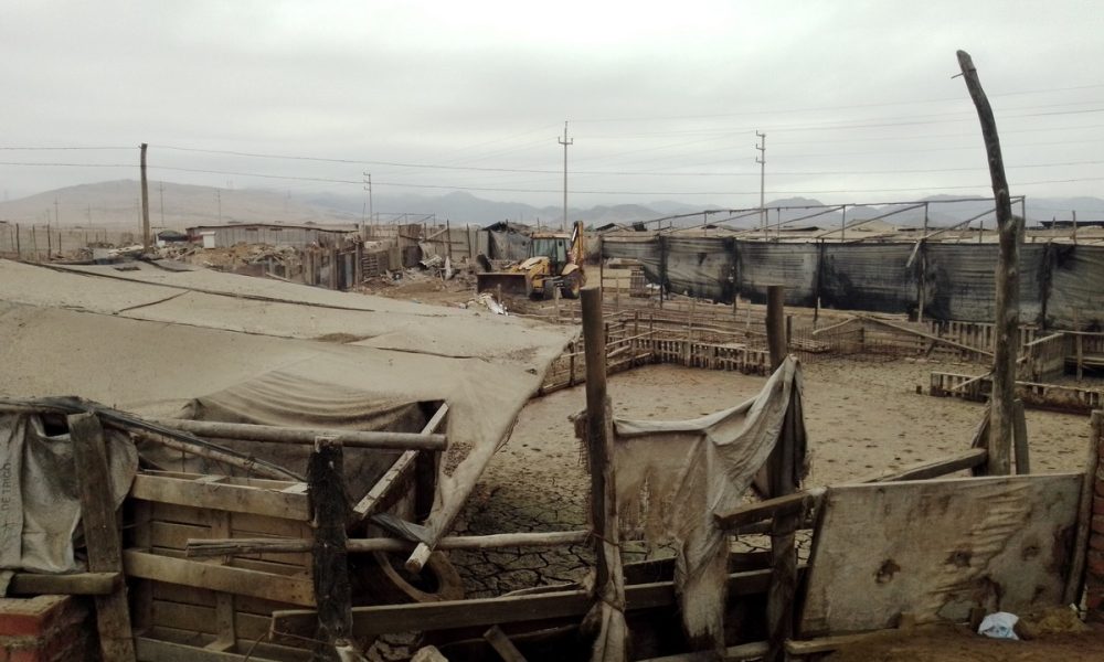 Archivo: El Heraldo del Perú