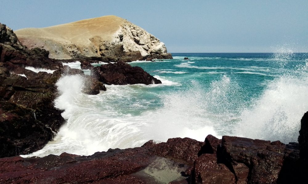 Archivo: El Heraldo del Perú