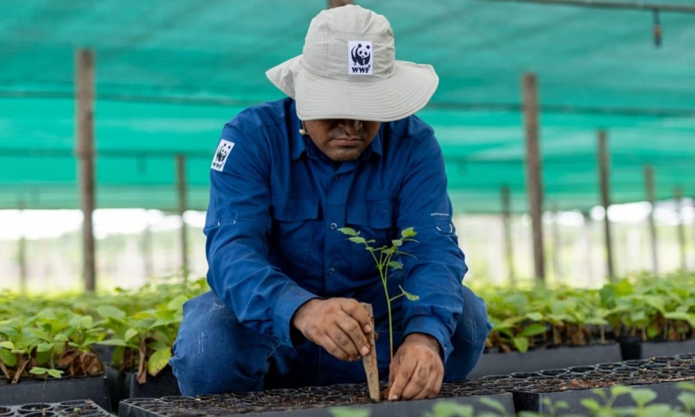 Madre de Dios implementan primer vivero