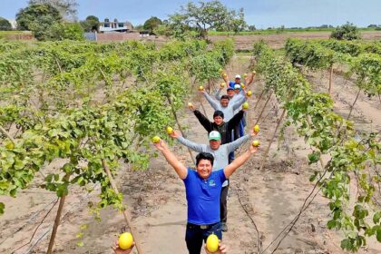agromercado inversiones