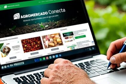 ds agroweb