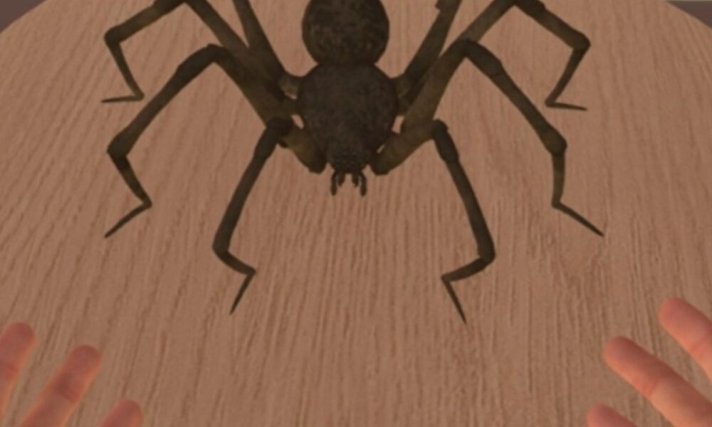 ds aracnofobia
