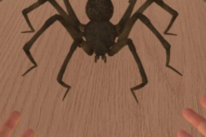 ds aracnofobia