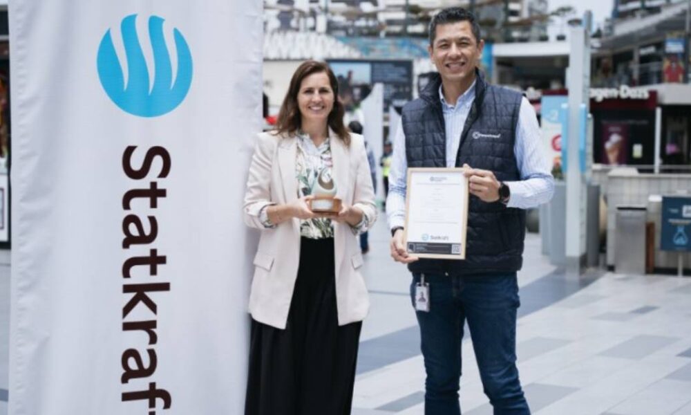 ds arauco