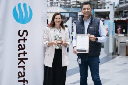 ds arauco