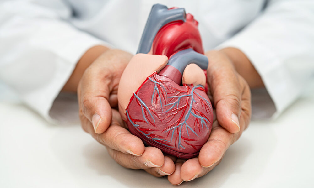 ds cardiovascular