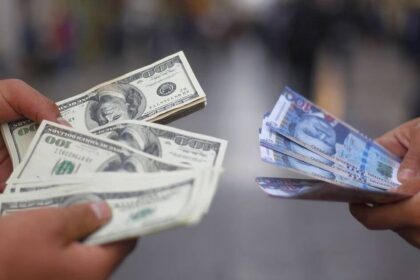 ds dolar