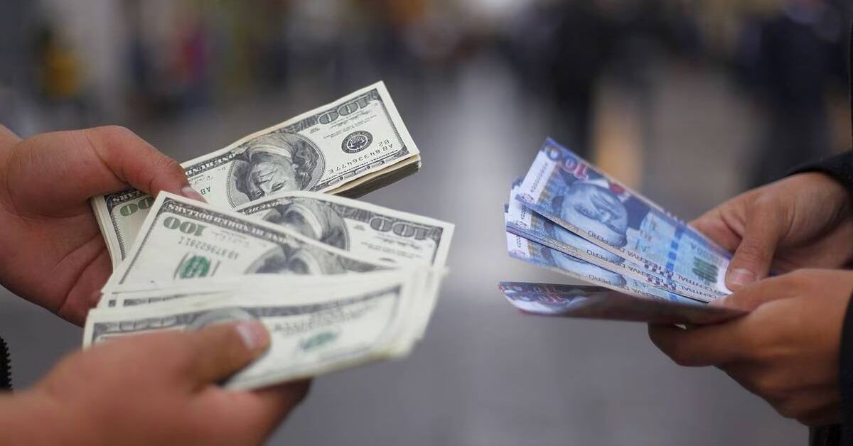 ds dolar