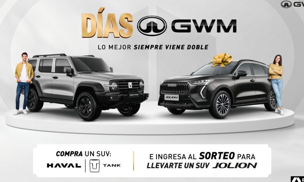 ds gwm