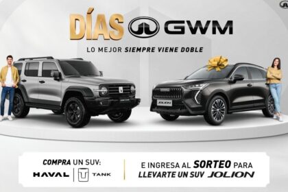ds gwm