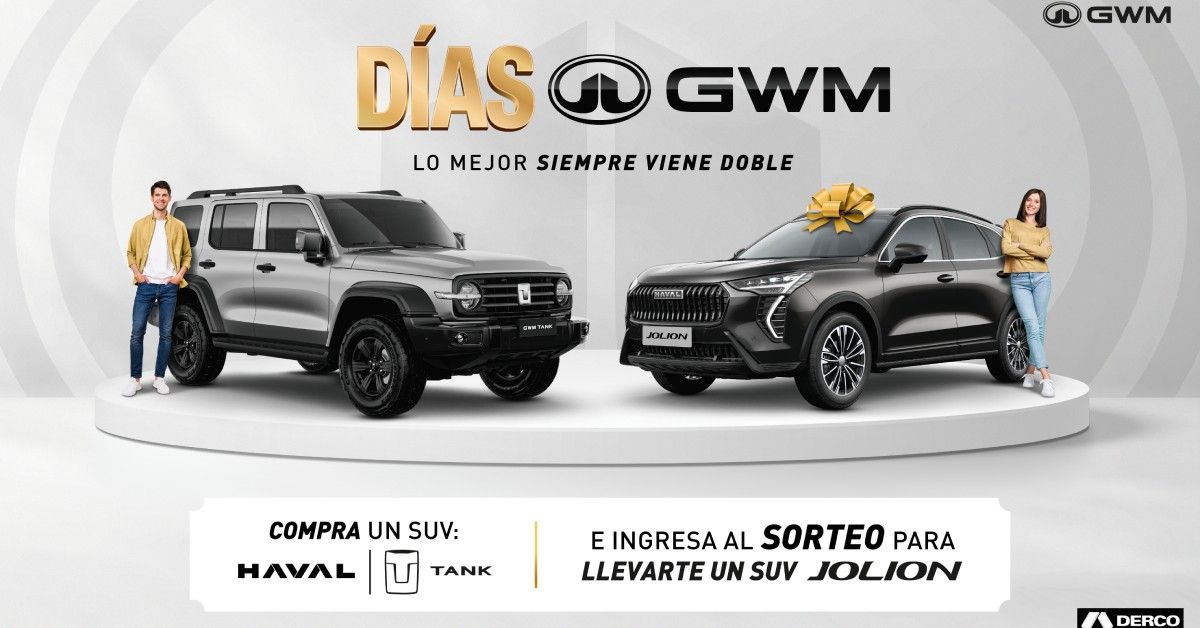 ds gwm