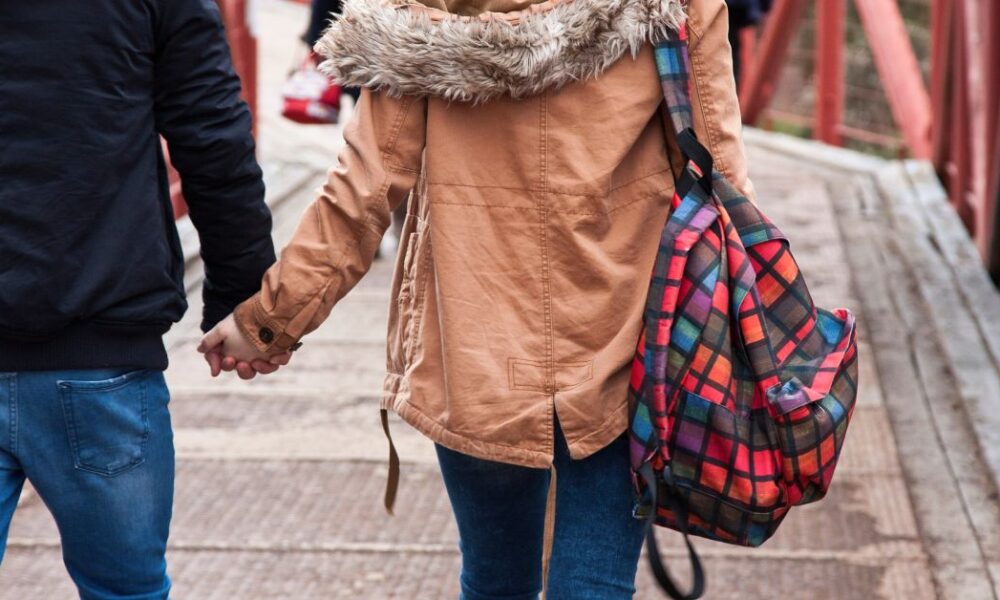 ds invierno 1