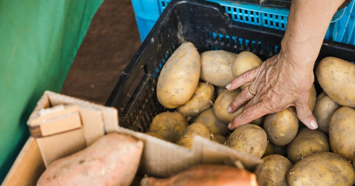 ds perdidaalimentos