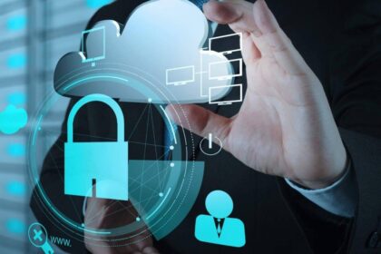 ds seguridadn