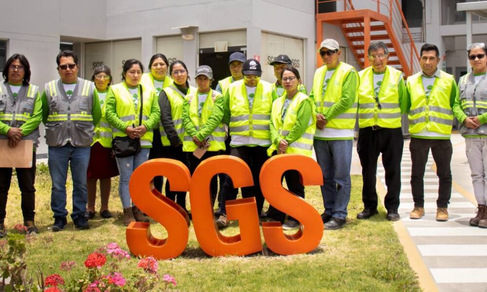 ds sgs