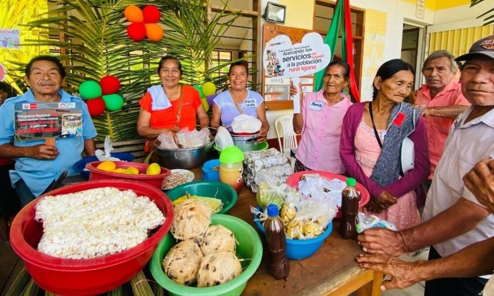 ds tambosproductivos