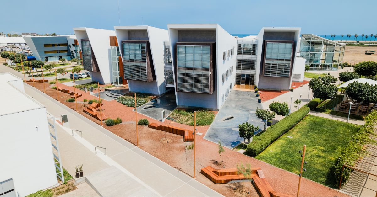 ds universidades 2