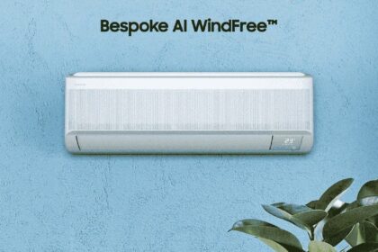 ds windfri