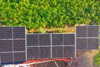 entel solar