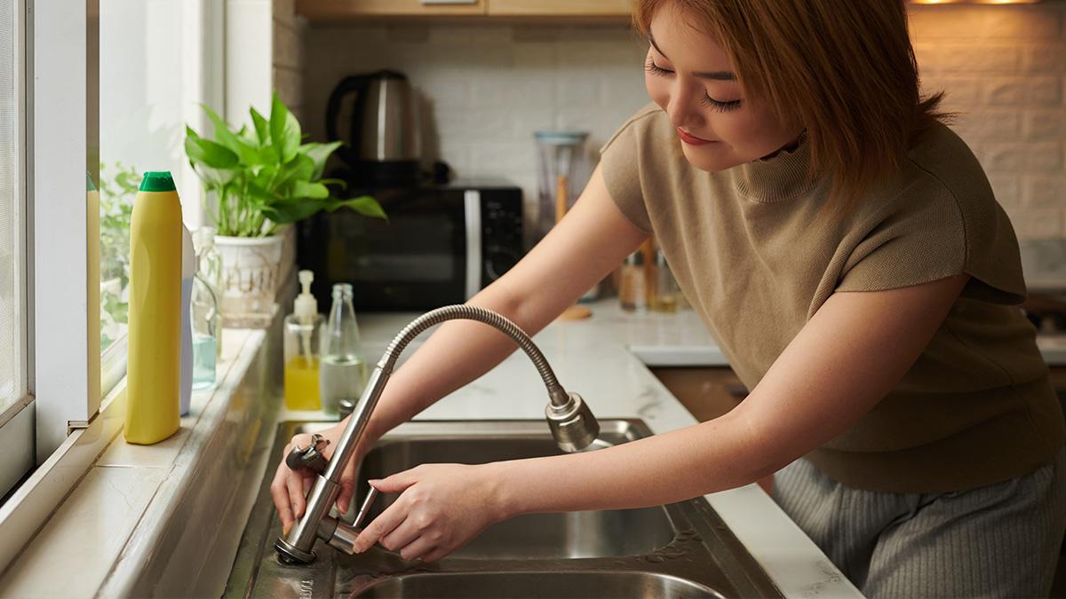 heraldo celima