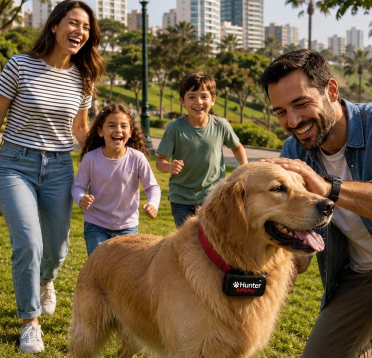 Cómo encontrar a tu perro si se pierde