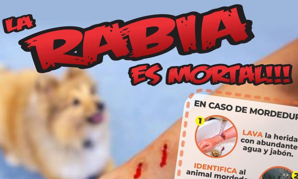 master destacada photoshop con medidas Recuperado Recuperado Recuperado Recuperado Recuperado Recuperado Recuperado Recuperado Recuperado Recuperado 95