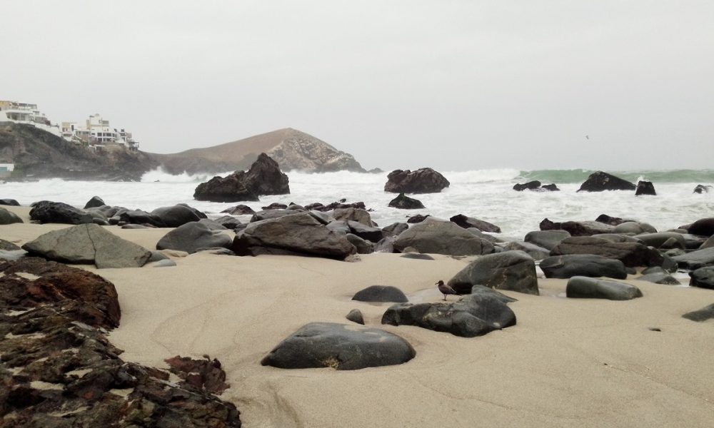 Archivo: El Heraldo del Perú