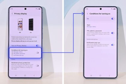privacy display