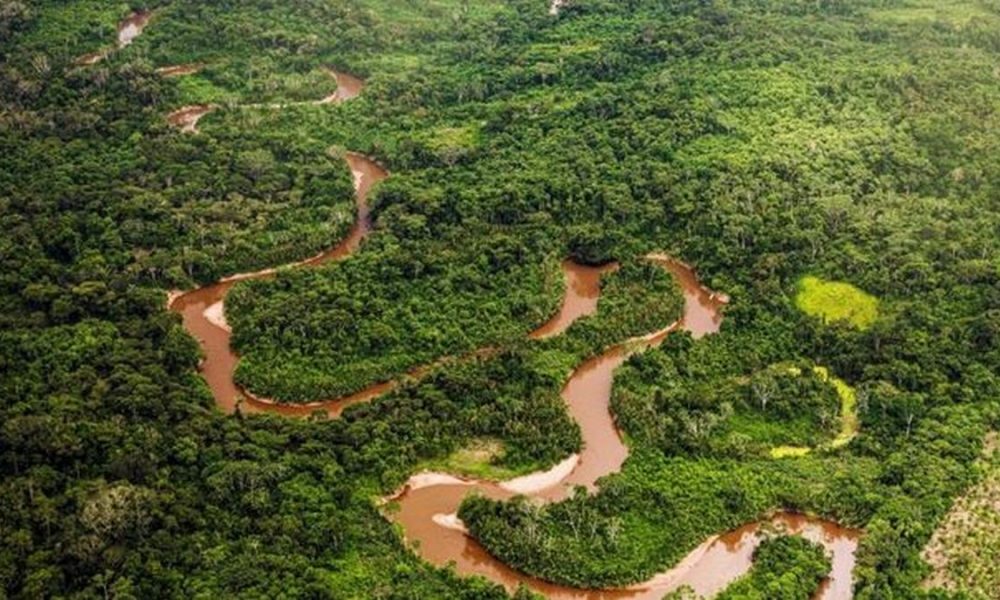 Archivo: Ministerio del Ambiente