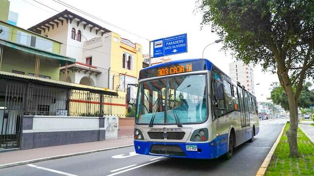 standard Corredor Azul.jpeg