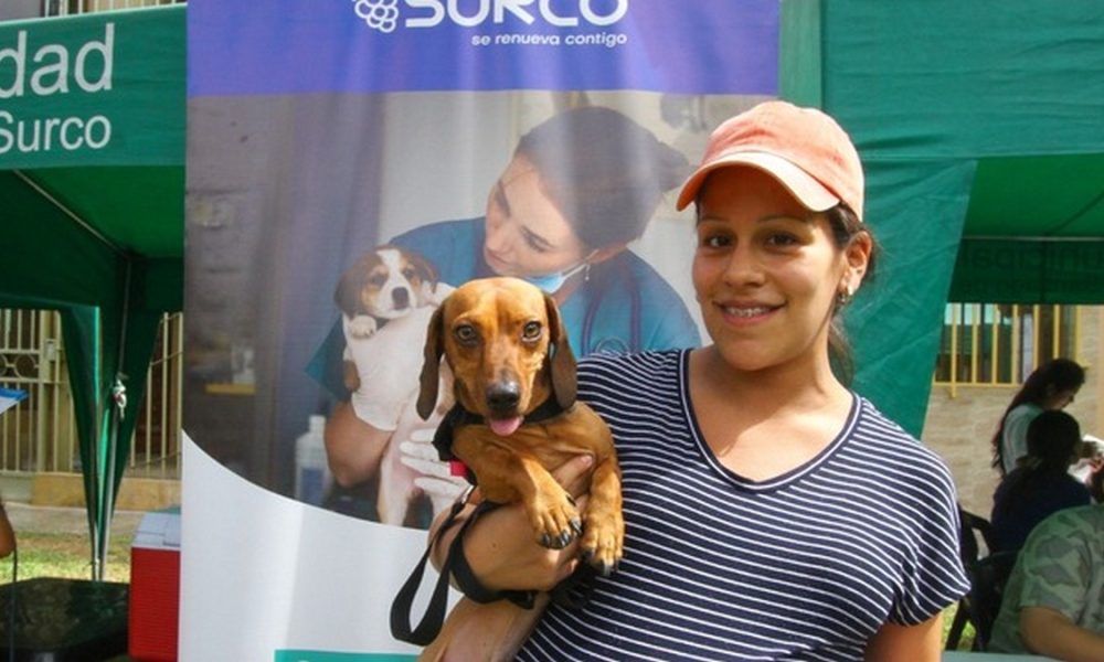 Archivo: Municipalidad de Surco