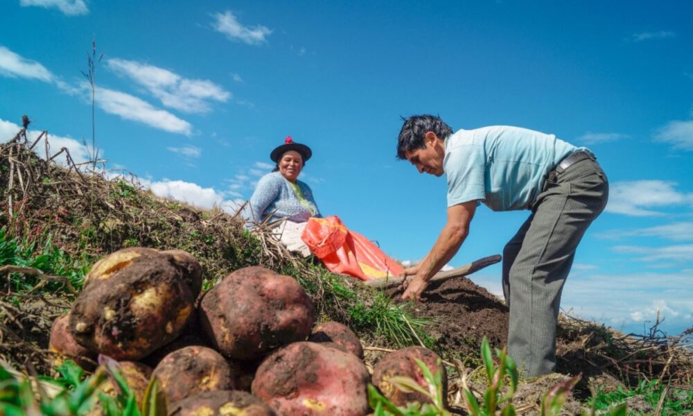 u agricultura