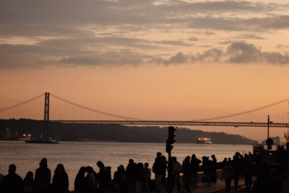 video viajes