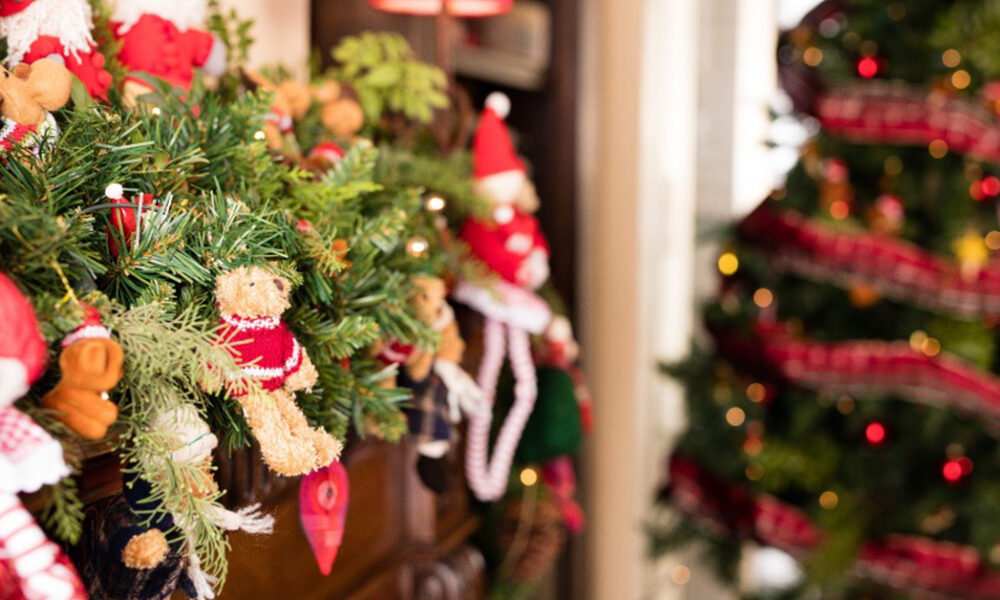 zoom navidad